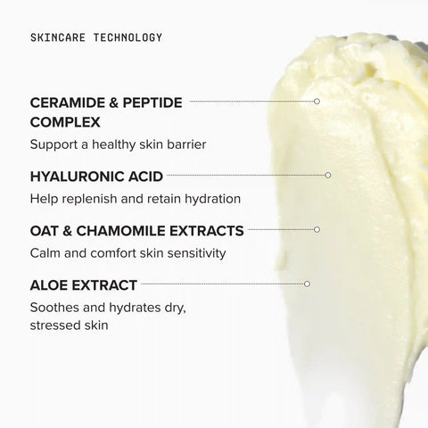Barrier Repair Mask